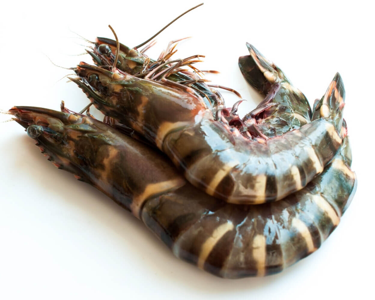 Tiger Prawns- Big Size(32-40Gm/PC)